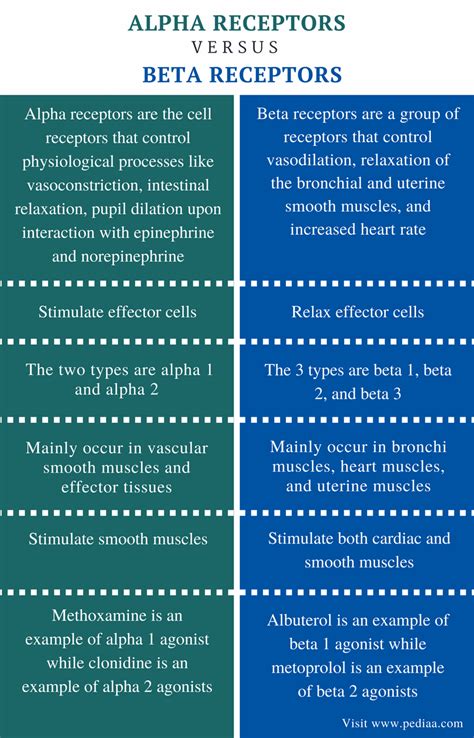 beta and alpha receptors